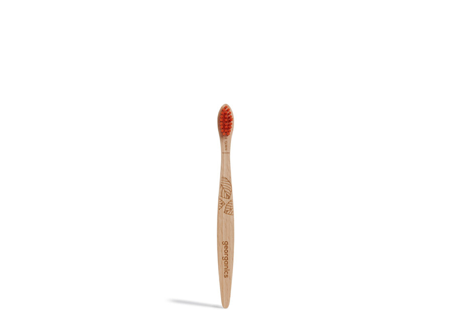 Brosse à dents en bois de hêtre - Enfants - Sans BPA