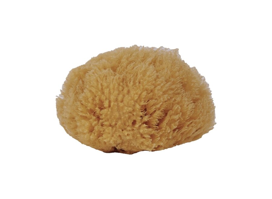- Mediterranen Zeespons - Zacht
