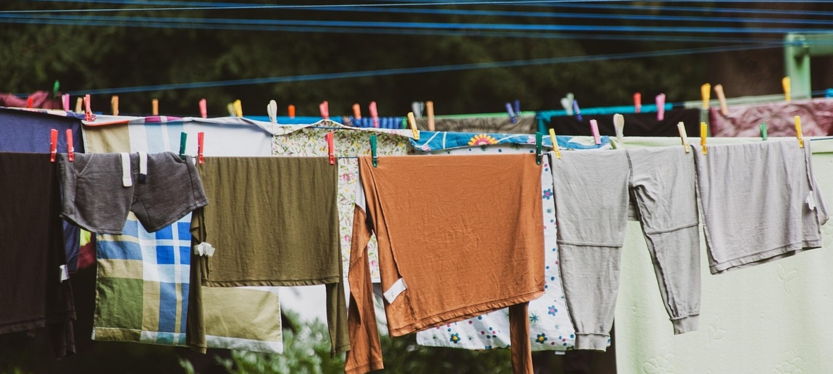 Liquid or Powder Detergent? This Is the Ultimate Guide for You