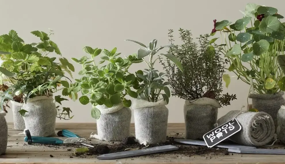 Top 10 Nachhaltige Geschenke für Männer – Zum Vatertag!