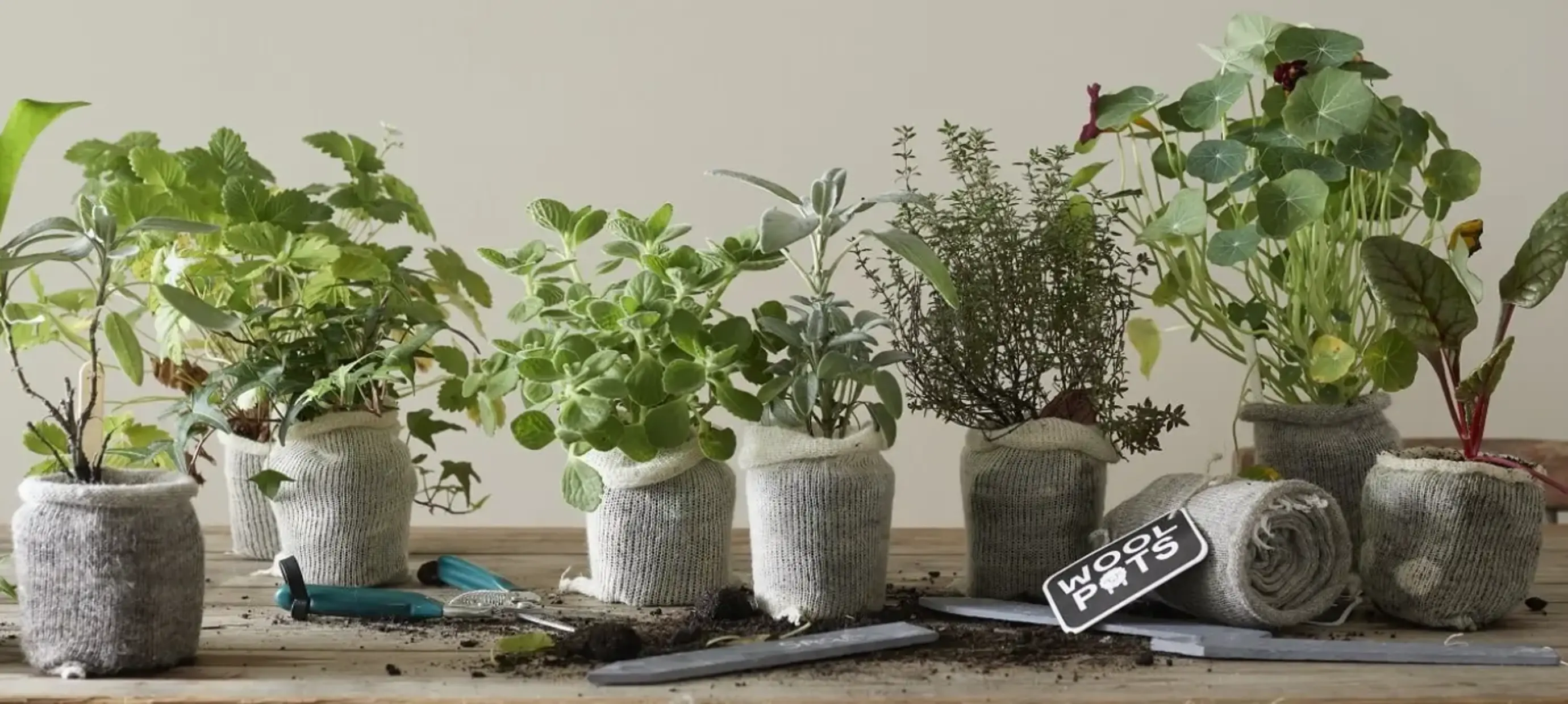 Top 10 Sustainable Gifts for Men – For Father’s Day!