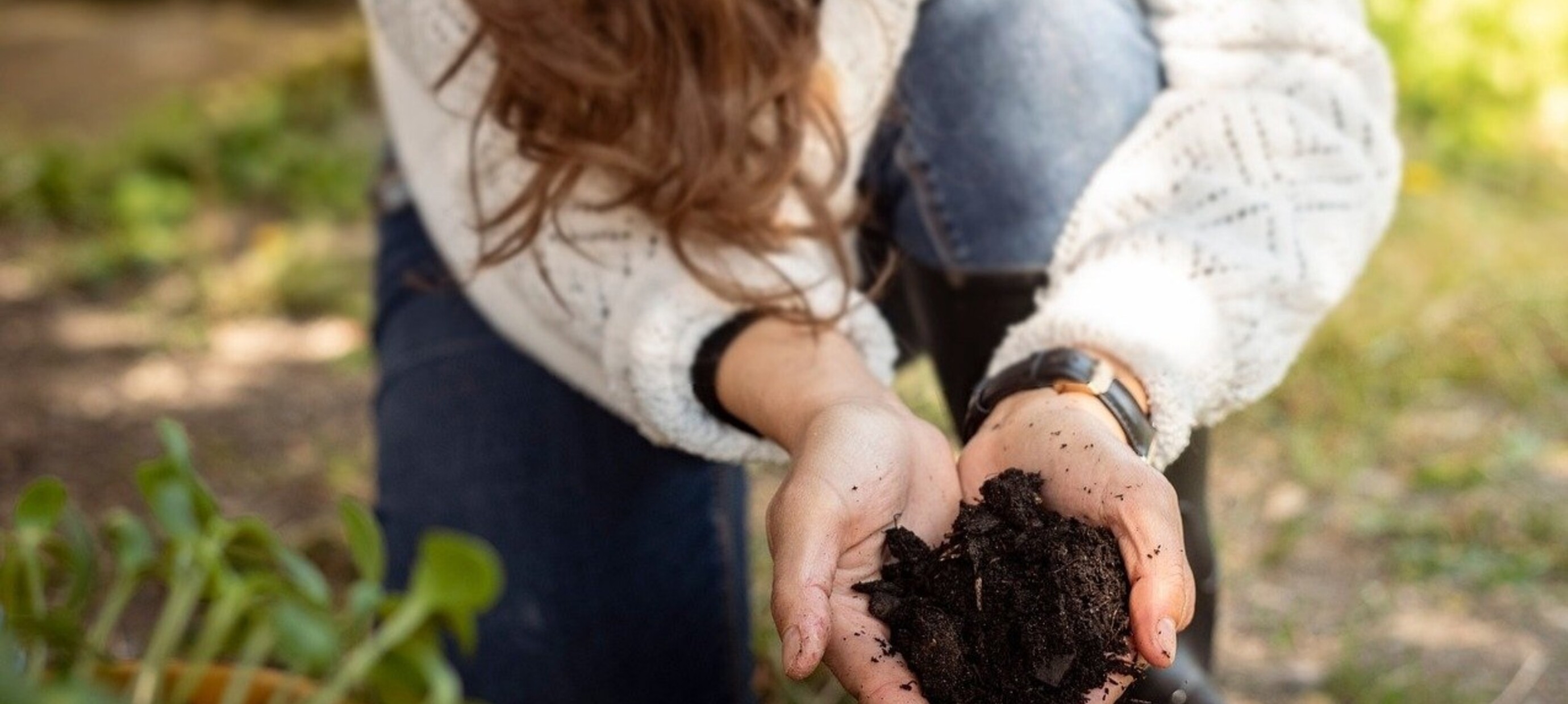 How to Make Your Own Compost Like a Pro