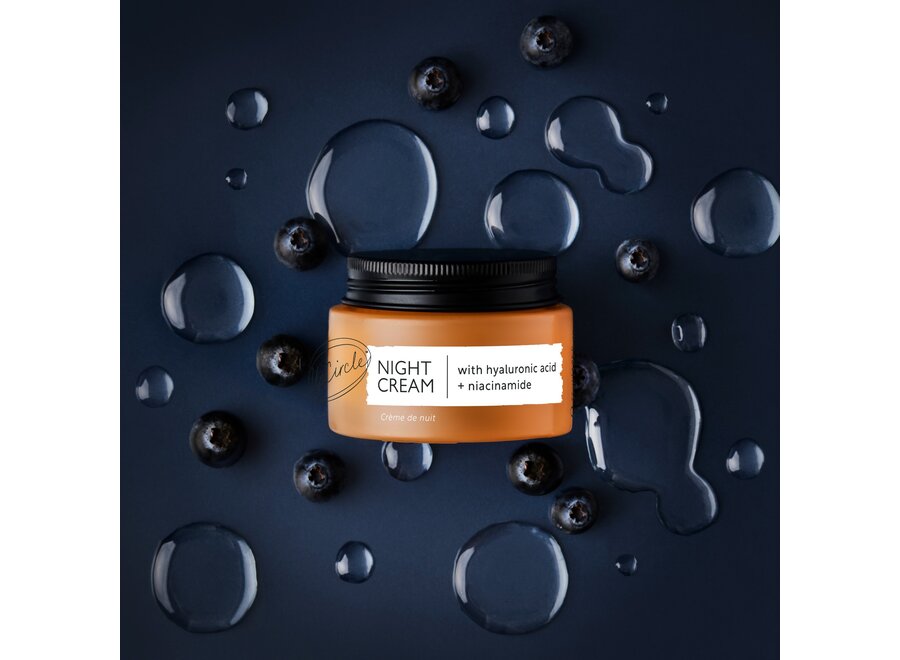 UpCircle Nachtcreme – Hyaluronsäure & Niacinamid – 30 ml