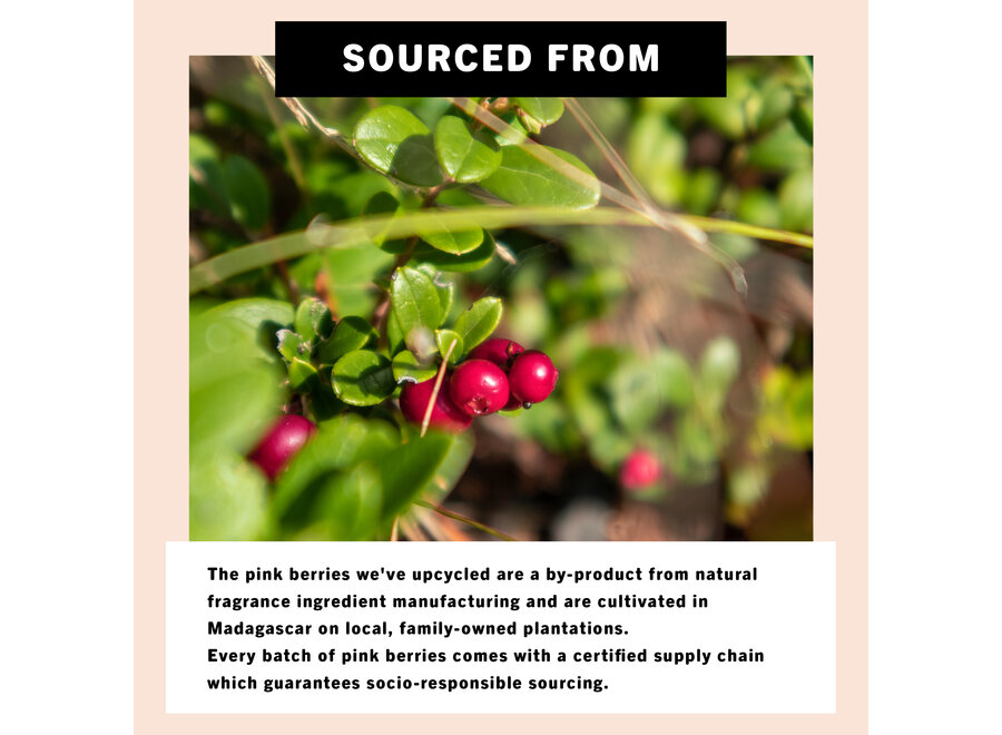 UpCircle - Shampoo Crème - Überbleibende rosa Beeren - Kokosnuss & Grapefruit Öl - 100 ML - 100% natürliche Formel - für alle Haartypen geeignet