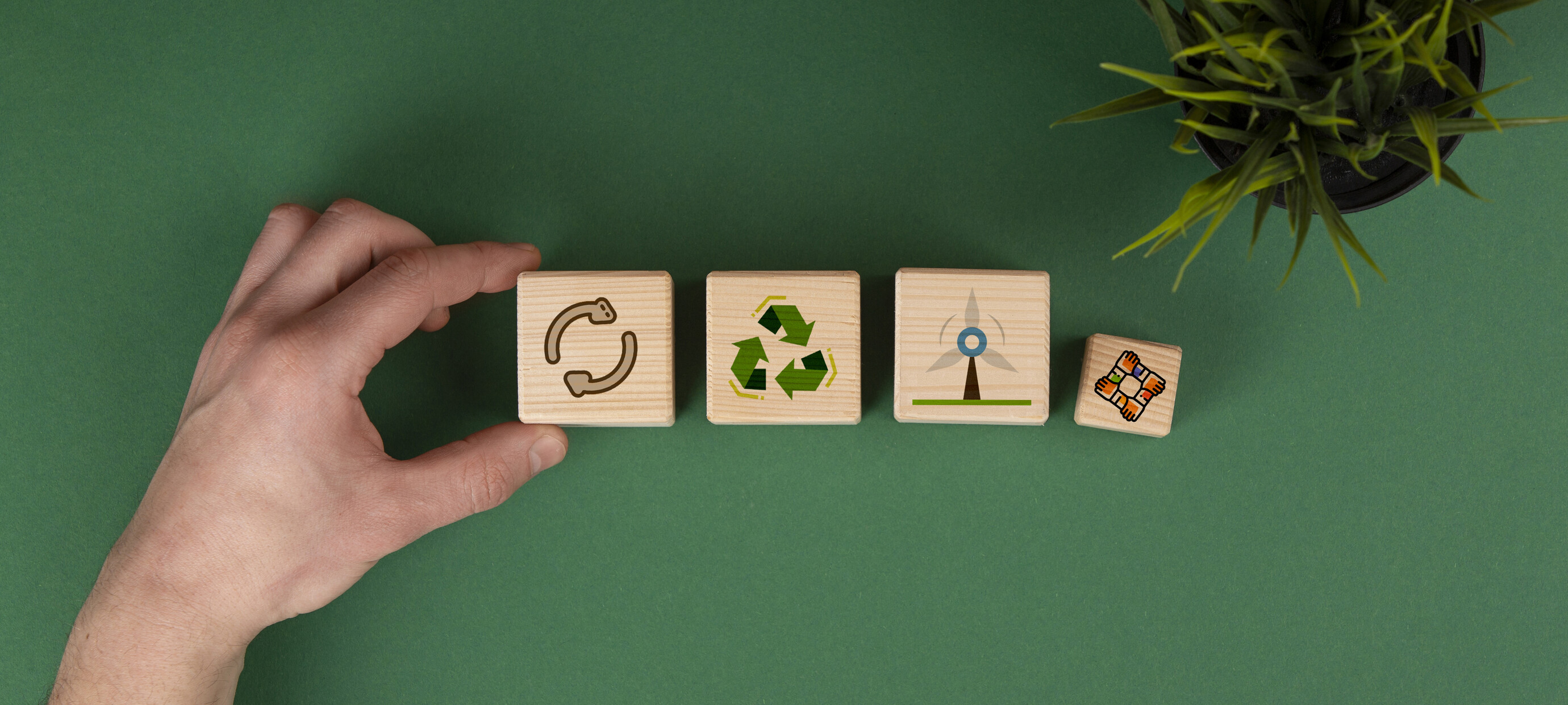 The 12-Month Green Reset: one small green step for every month of 2026