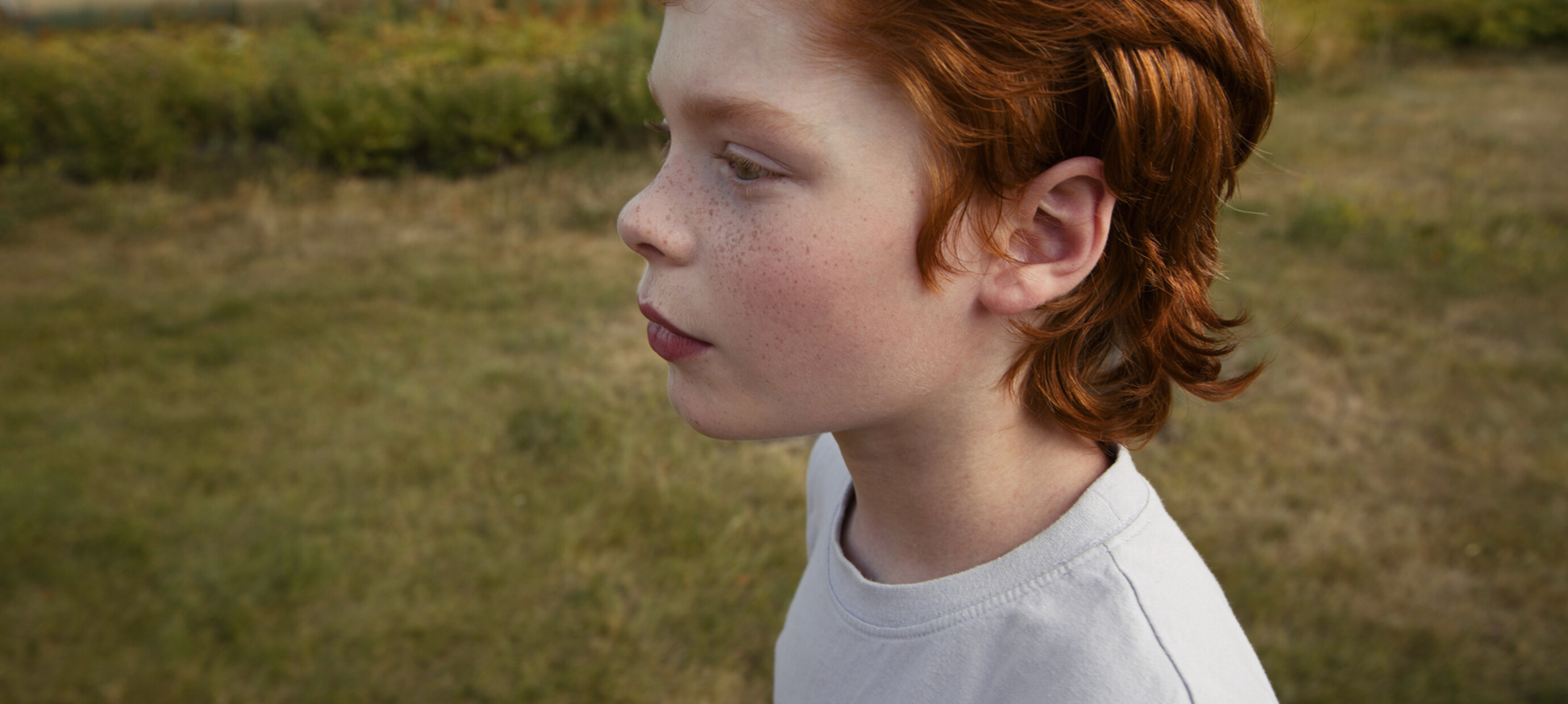 Looking for AllergyCertified Products? These Are Our Favorites