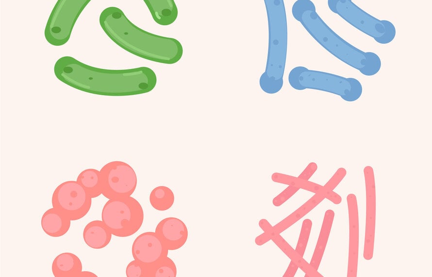 Probiotica: kleine bacteriën, grote impact op je gezondheid (én je was!)