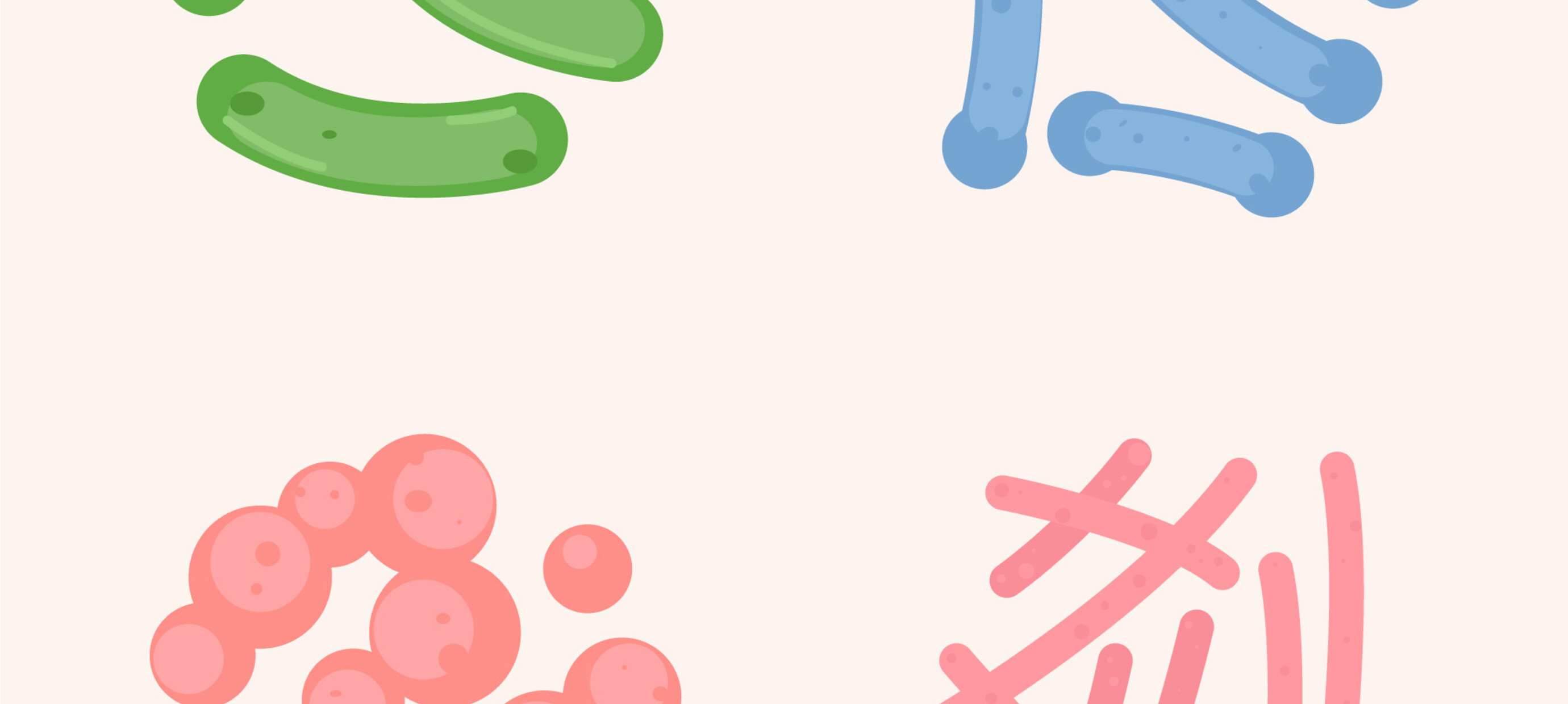 Probiotics: small bacteria, big impact on your health (and your laundry!)