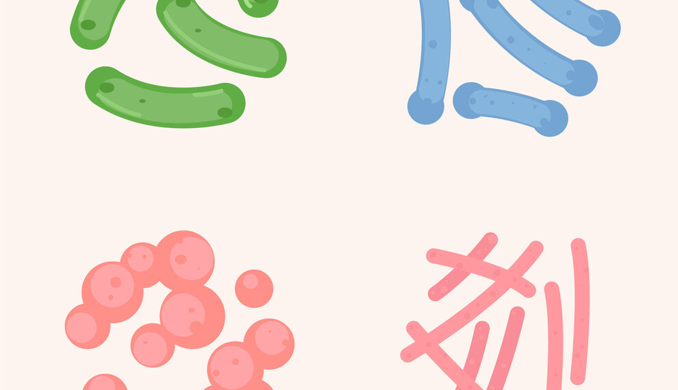 Probiotics: small bacteria, big impact on your health (and your laundry!)