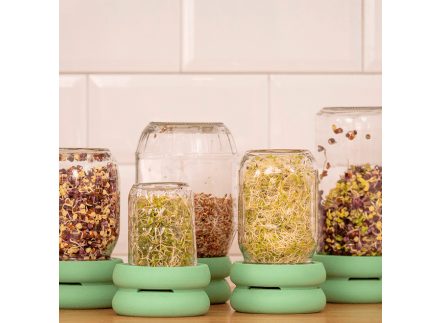 - Sprout Huggers - Sage Green - Let your sprouts sprout
