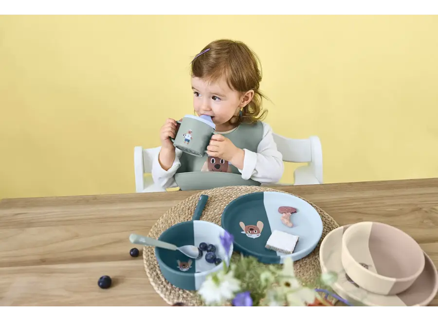 Assiette en silicone - Chien/Chat - Sans BPA