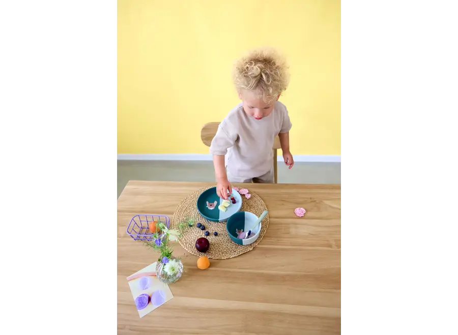 Silicone Bowl - Dog/Cat - BPA Free