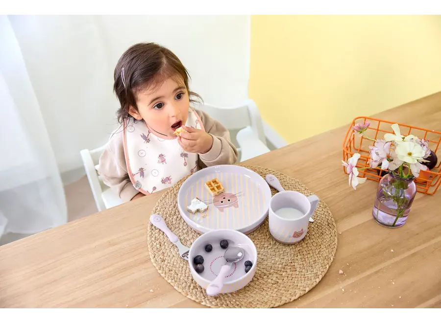 Dish Set Porcelain/Silicone - 3pcs - Dog/Cat