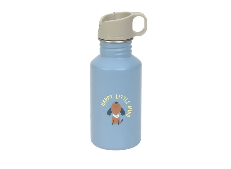 Bottle - Stainless steel - Colors