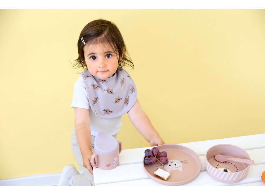 - Value Pack Bibs - Kittens