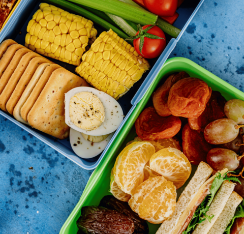 Plastic-Free School Lunch: What You Really Need