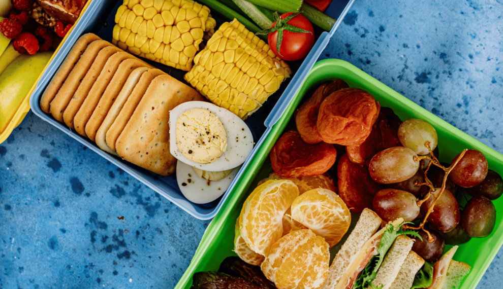 Plastic-Free School Lunch: What You Really Need