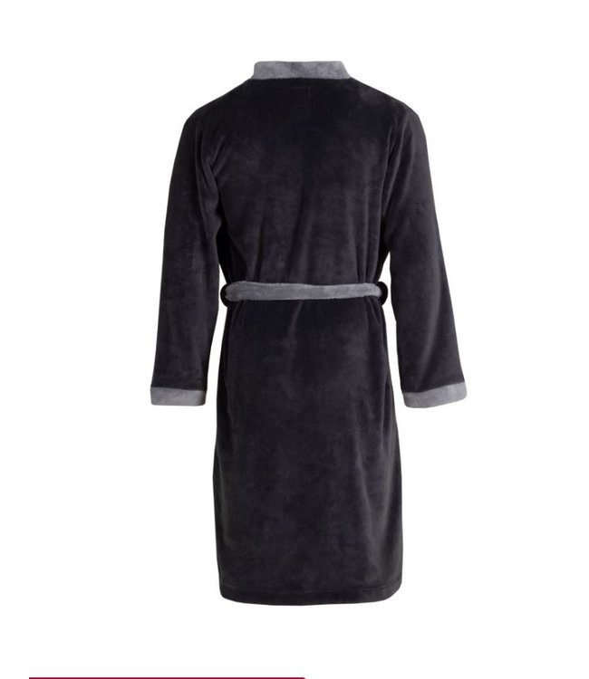 Ajax Badjas Grijs met logo L-XL