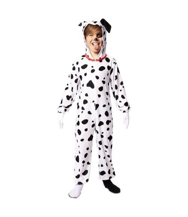 Dalmatiër (92-104cm)