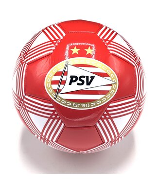 PSV Voetbal Lijnen logo Maat 5