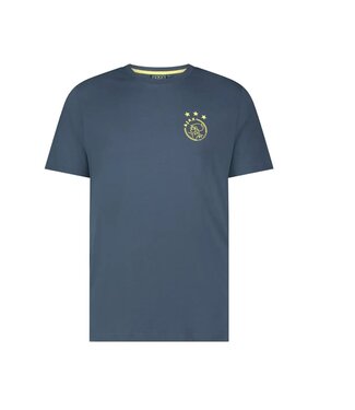 Ajax T-shirt Away Volwassen 2024-2025