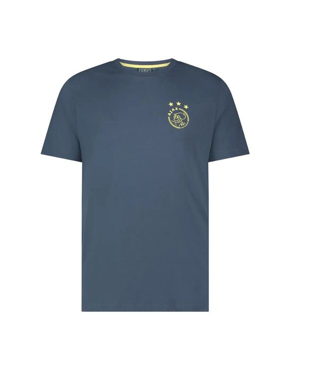 Ajax T-shirt Away Volwassen 2024-2025