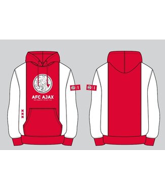Ajax Logo Hoody Volwassen WRW