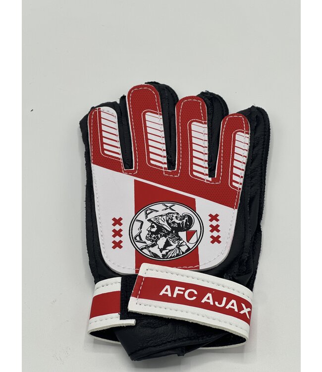 Ajax Keepershandschoenen L-XL