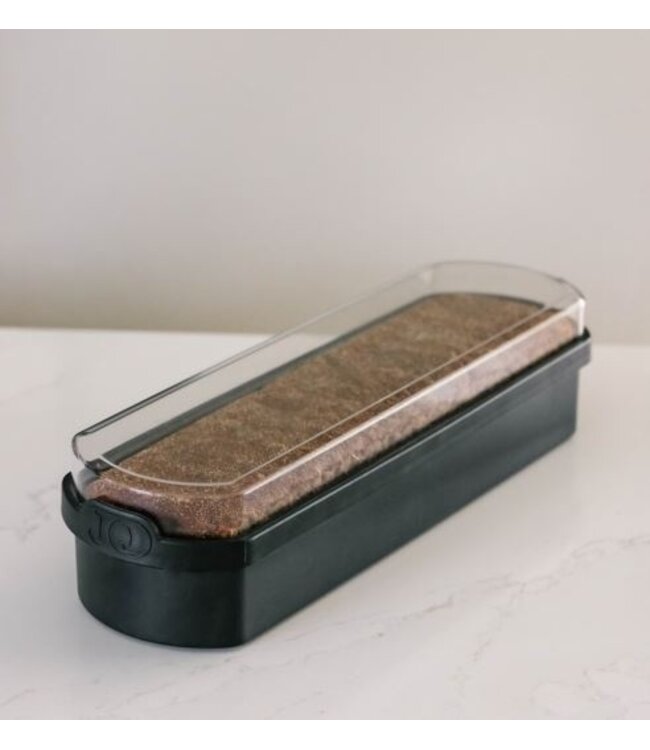 JQ Liv Ontbijtkoekdoos Zwart