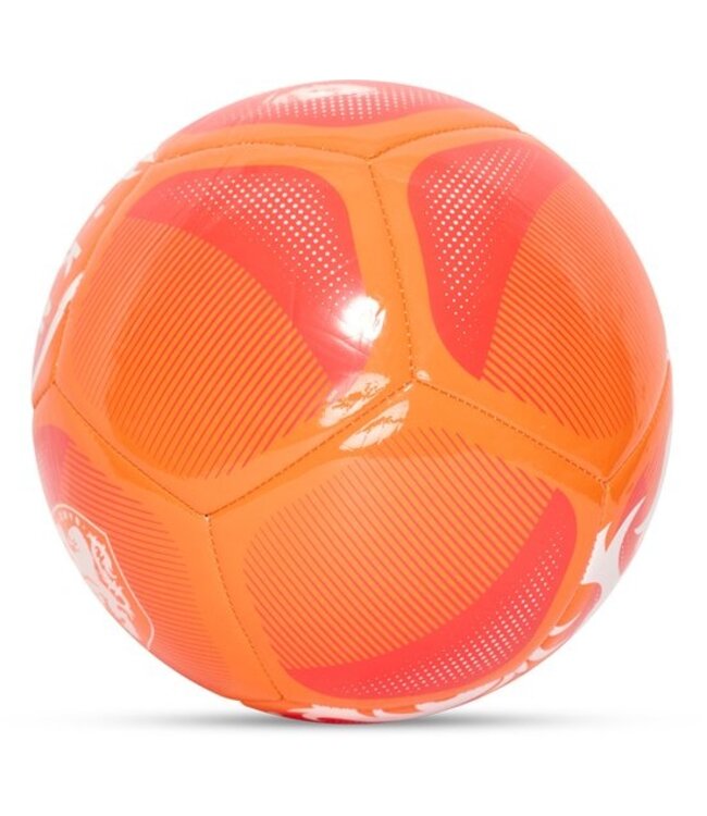 KNVB Voetbal Leeuw Maat 5