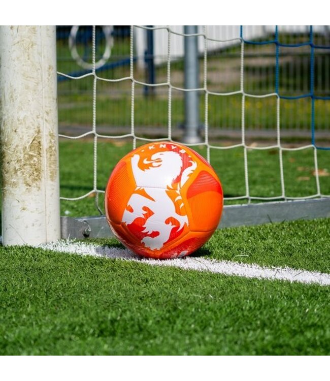 KNVB Voetbal Leeuw Maat 5