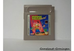 Mouse Trap Hotel (USA)