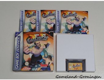 Fire Pro Wrestling (Complete, EUU)