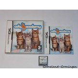 Cats Academy (Compleet)