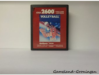 RealSports Volleyball