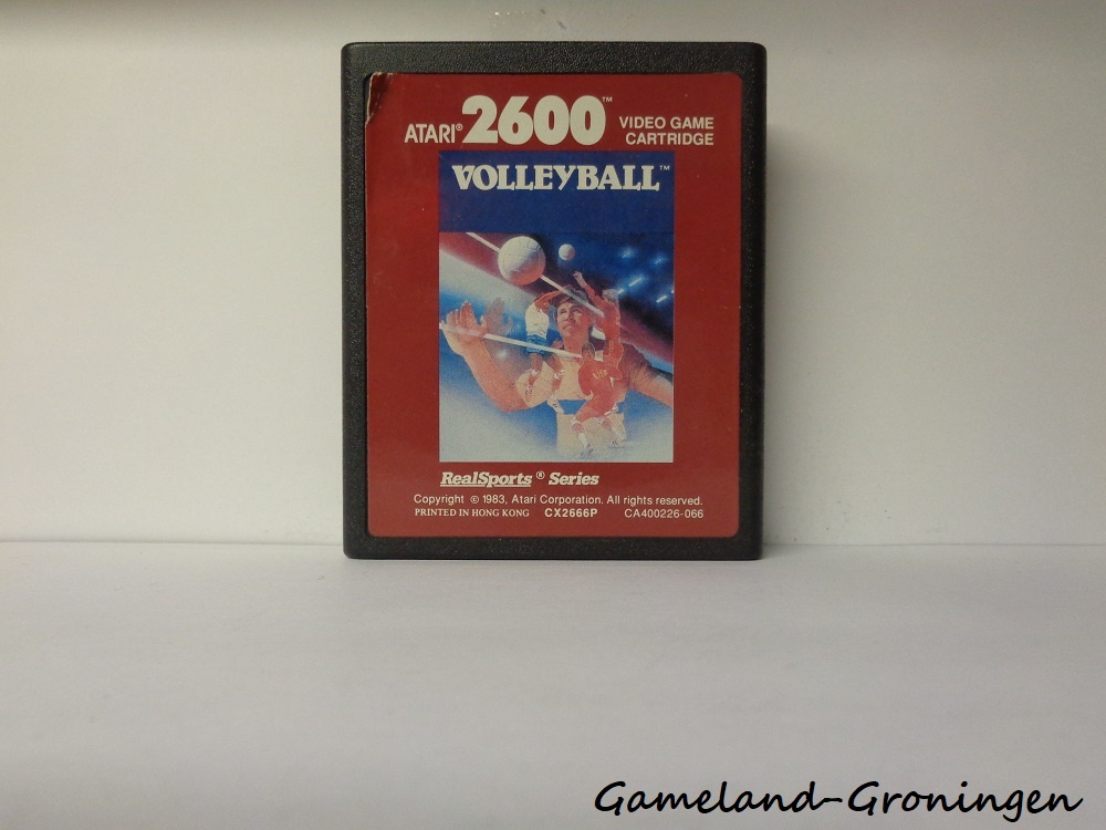 RealSports Volleyball