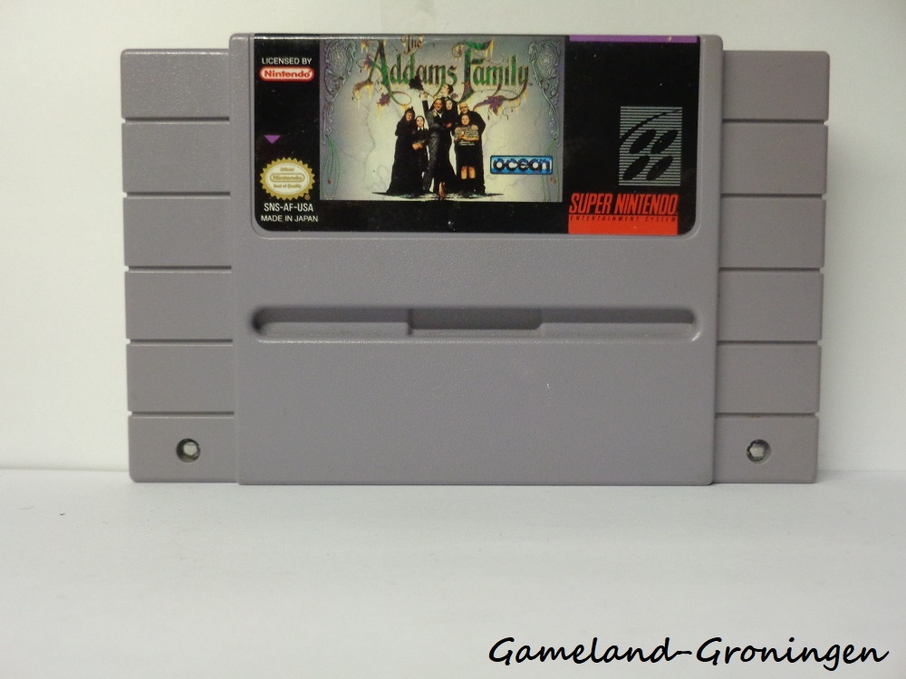 The Addams Family (NTSC/USA)