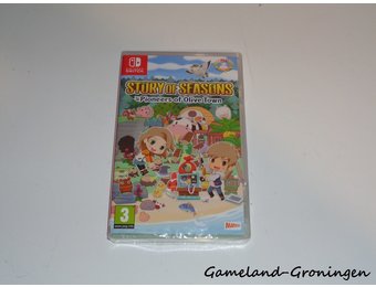 Story of Seasons Pioneers of Olive Town