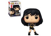 Wonder Woman 80th POP! - Wonder Woman The Contest #391