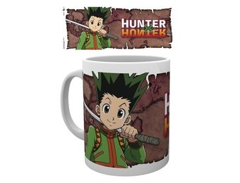 Hunter x Hunter - Gon Freeccs Mok