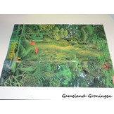 Secret of Mana (Map, HOL)