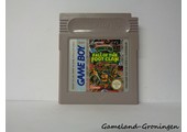 Teenage Mutant Hero Turtles Fall of the Foot Clan (FAH)