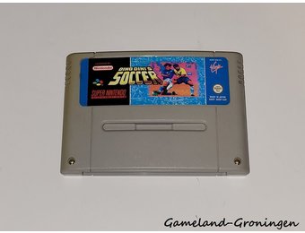 Dino Dini's Soccer (EUR)