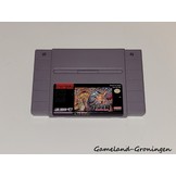 Super Adventure Island (NTSC/USA)