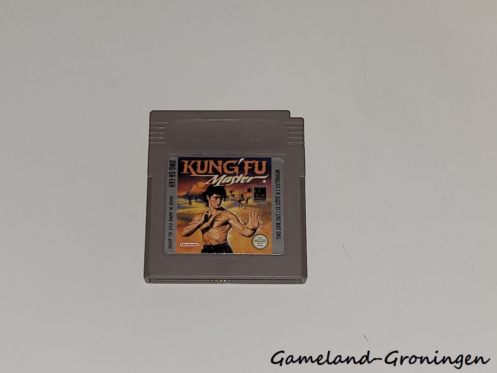 Kung Fu Master (FAH)