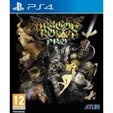 Dragon's Crown Pro
