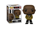 Rocks POP! - Camo DMX #317