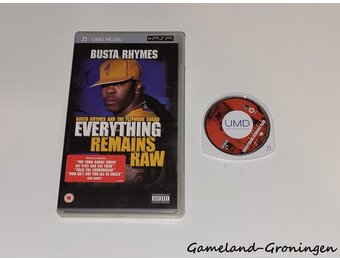 Busta Rhymes Everything Remains Raw (Music)