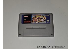 Street Fighter II Turbo (FAH)