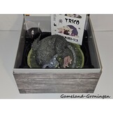 The Last Guardian Collector's Edition (Compleet)